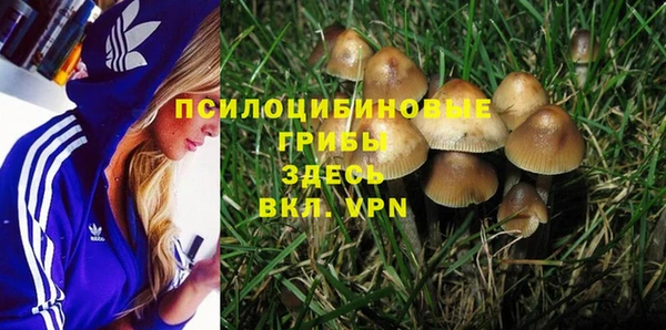 круглые Алзамай