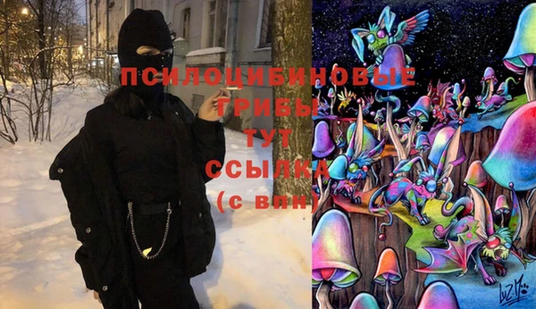 амф Алексин