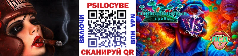 где можно купить наркотик  Ардон  Галлюциногенные грибы прущие грибы 